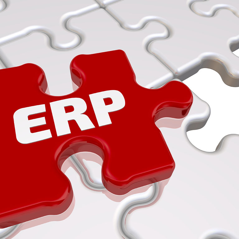 ERP導入に必要とされるSAPコンサルタント